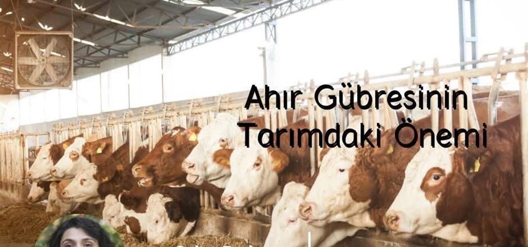  5 Aralık Dünya Toprak Günü – İklim Değişikliği ve Toprak Verimliliği Sempozyumu