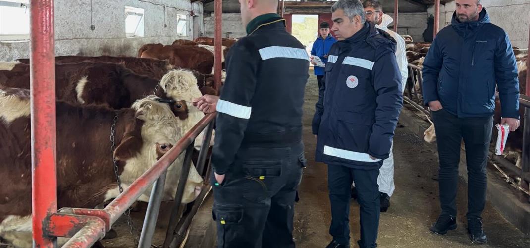 Hafta sonu mesaimize Ardahan Merkez Altaş Köyü’ndeki üreticimiz Bayram Ali Yılmaz’a ait işletme ziyareti ile devam ettik.