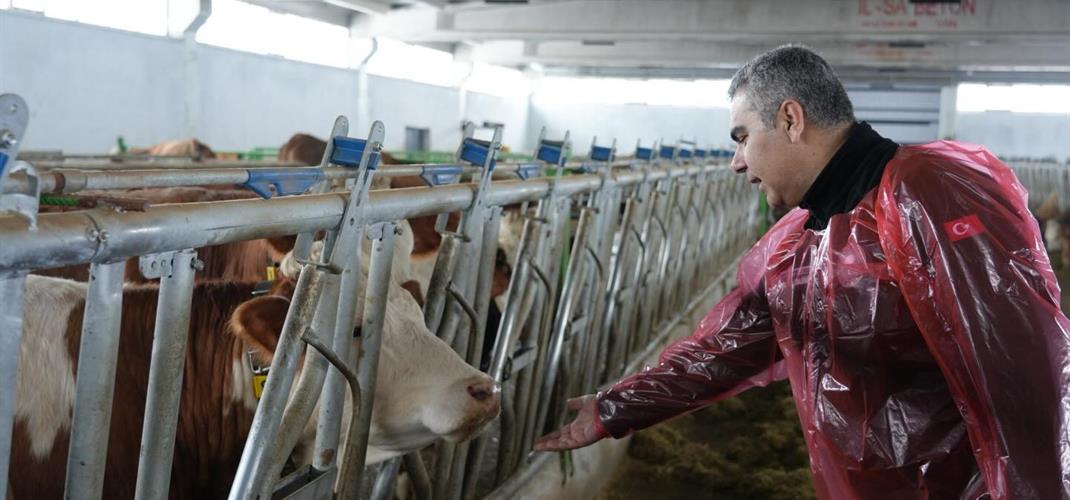 Kırsal Kalkınma Yatırımlarının Desteklenmesi Programı (KKYDP) kapsamında İl Müdürlüğümüz tarafından alet ve ekipman desteği sağlanan Göle ilçemizdeki işletmeye ziyaret gerçekleştirildi.