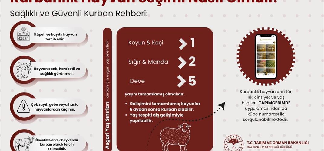 Kurbanlık alırken dikkat!