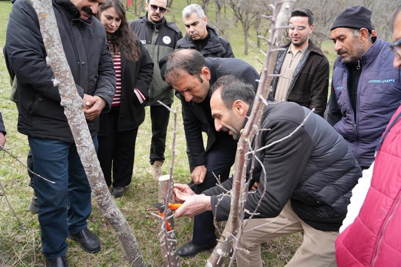 Doğru Budama, Sağlıklı Ağaç: Sahada Uygulamalı Eğitim